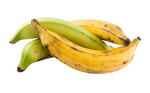 Plantain KG