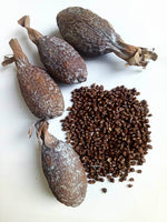 Alligator Pepper per piece