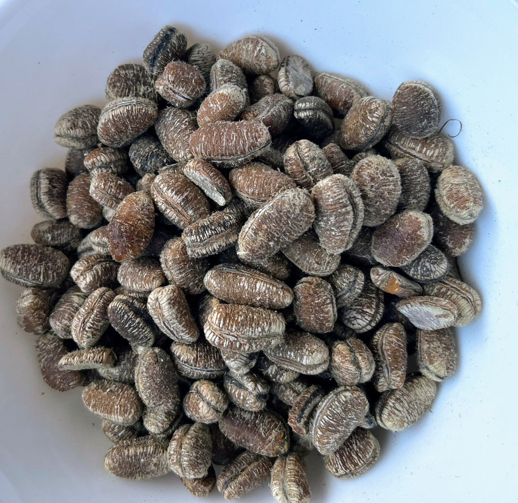 Calabash nutmeg (Ehuru seed)70g