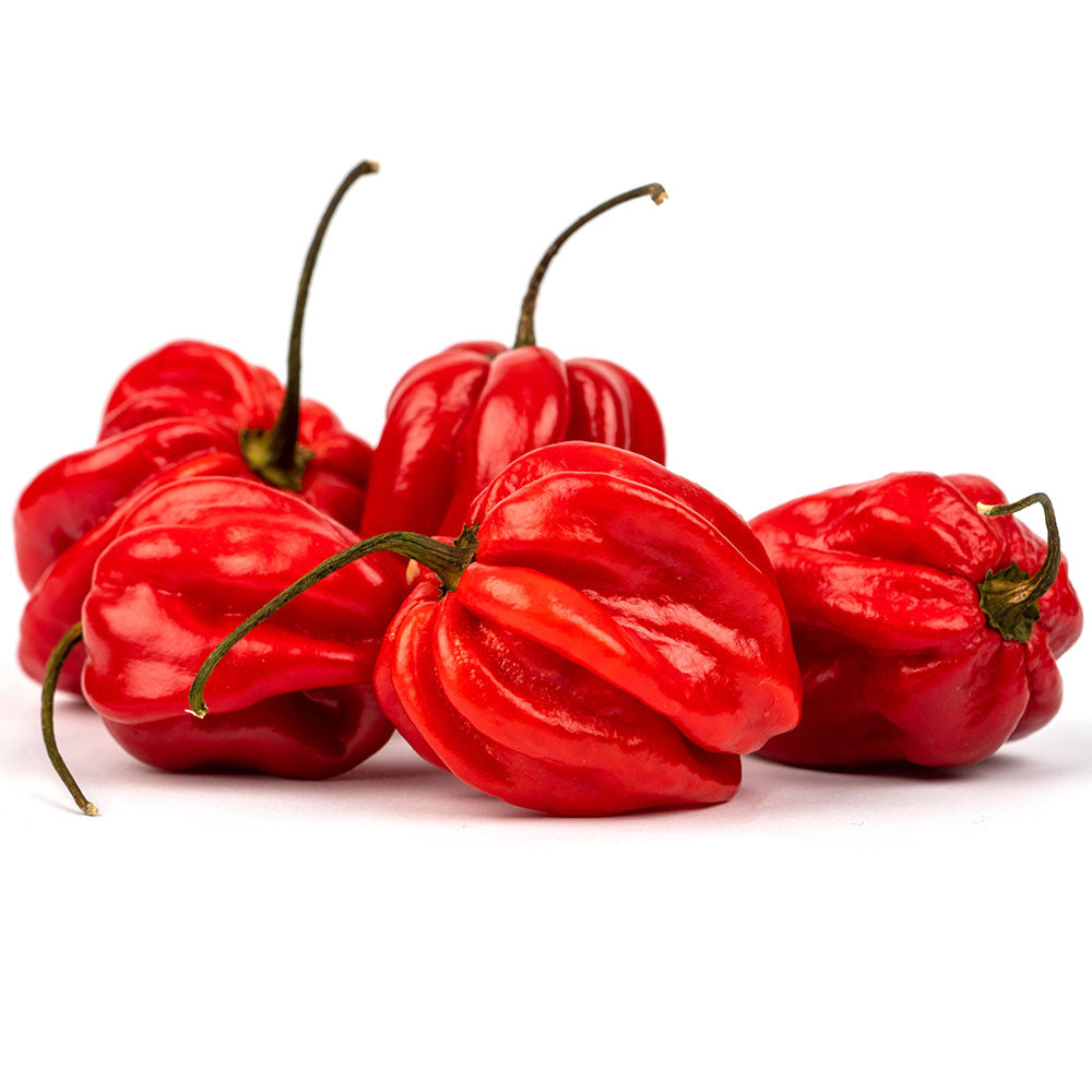 Habanero Red 1KG
