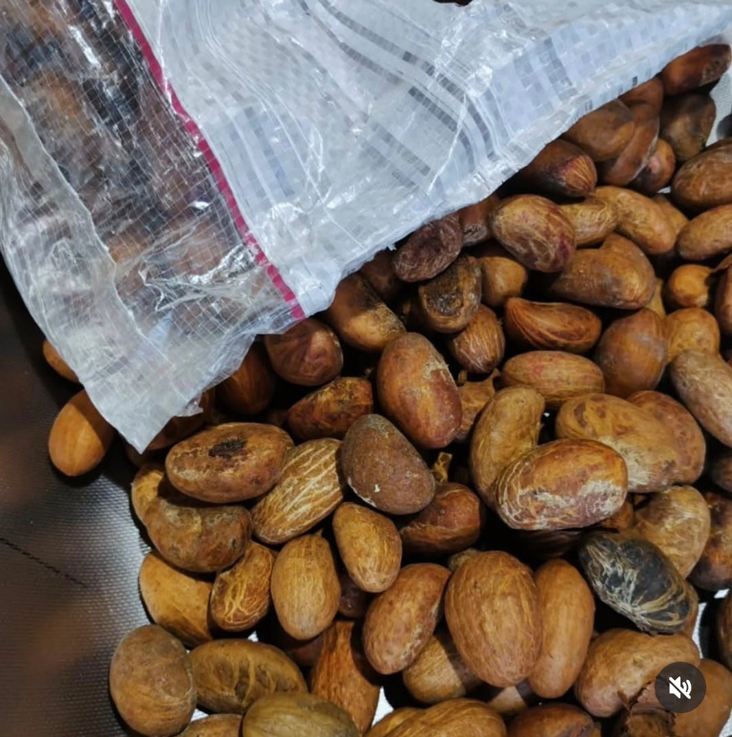 Bitter Kola 310g